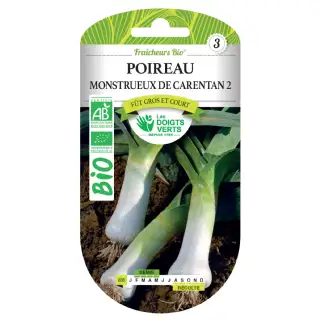 Graines de poireau monstrueux de Carentan 2 BIO Les Doigts Verts