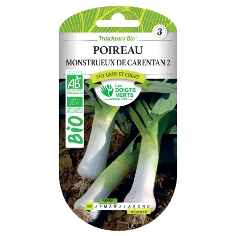 Graines de poireau monstrueux de Carentan 2 BIO Les Doigts Verts