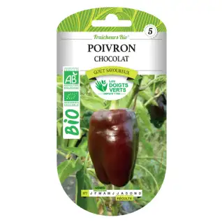 Graines poivron chocolat BIO Les Doigts Verts