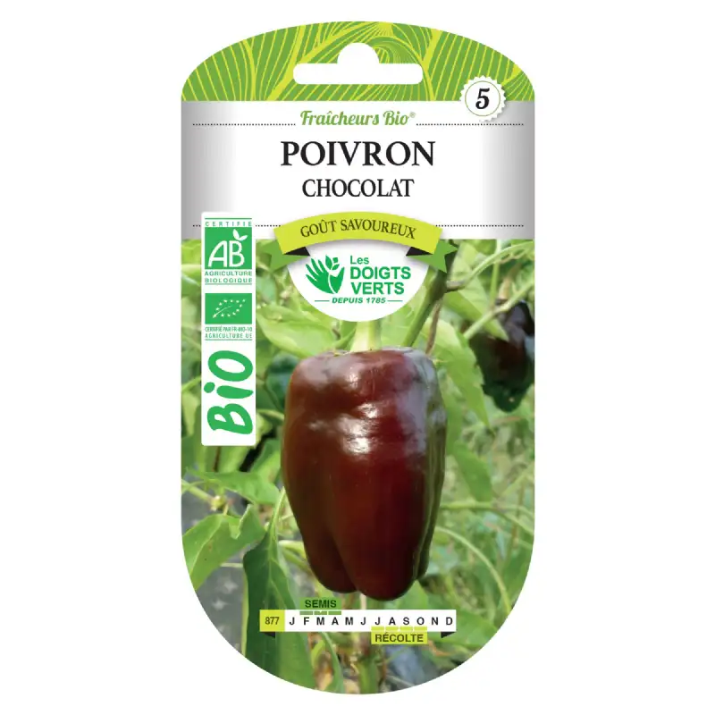 Graines poivron chocolat BIO Les Doigts Verts