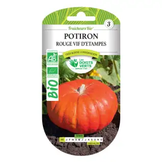 Graines potiron rouge vif d'Étampes BIO Les Doigts verts