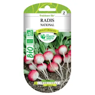 Graines de radis national BIO Les Doigts Verts