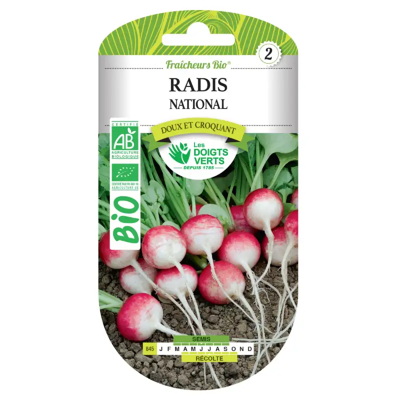 Graines de radis national BIO Les Doigts Verts