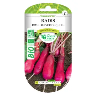 Graines radis rose d'hiver de Chine BIO Les Doigts Verts