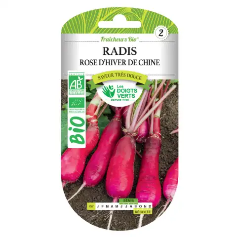 Graines radis rose d'hiver de Chine BIO Les Doigts Verts