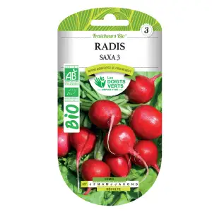 Graines de radis saxa 3 BIO Les Doigts Verts