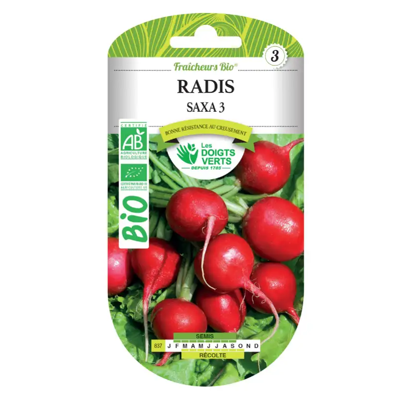 Graines de radis saxa 3 BIO Les Doigts Verts