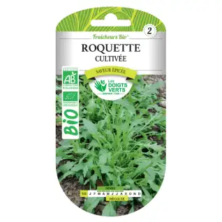 Graines de roquette cultivée BIO Les Doigts Verts