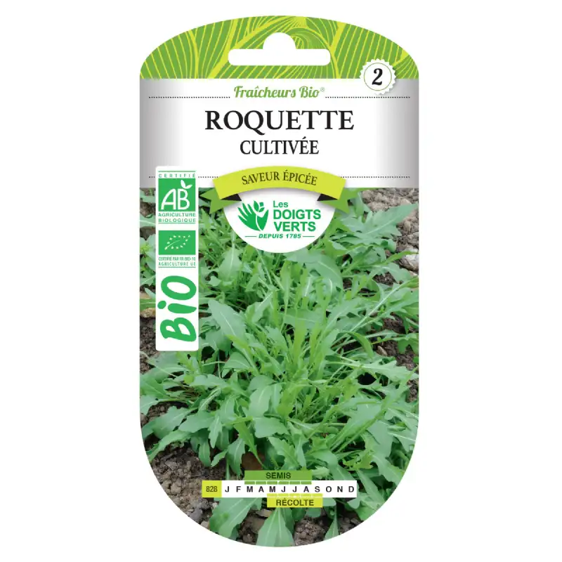 Graines de roquette cultivée BIO Les Doigts Verts