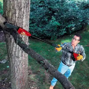 Scie à ébrancher black et decker