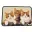 Tapis 40 x 60 cm motif les 3 chats