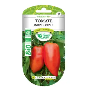 Graines tomate andine cornue BIO Les Doigts Verts