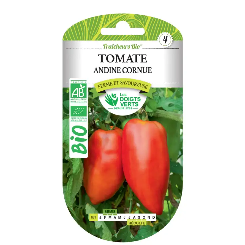 Graines tomate andine cornue BIO Les Doigts Verts