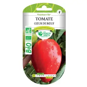 Graines tomate cœur de bœuf BIO Les Doigts Verts