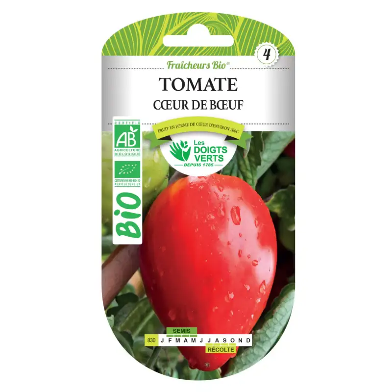 Graines tomate cœur de bœuf BIO Les Doigts Verts