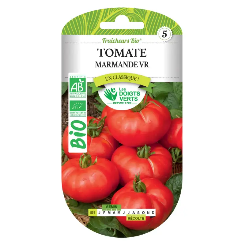 Graines tomate Marmande VR BIO Les Doigts Verts