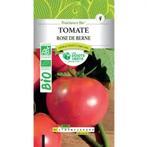 Graines tomate rose de Berne BIO Les Doigts Verts