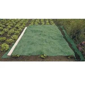 Voile d'hivernage vert 60g/m²